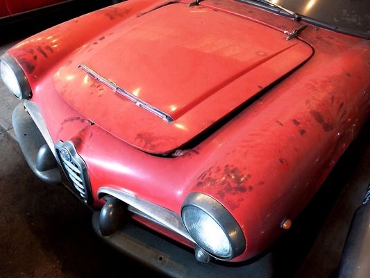 Alfa Romeo Giulia Spider (1967) - Palmen Scheuenfund-Sammlung