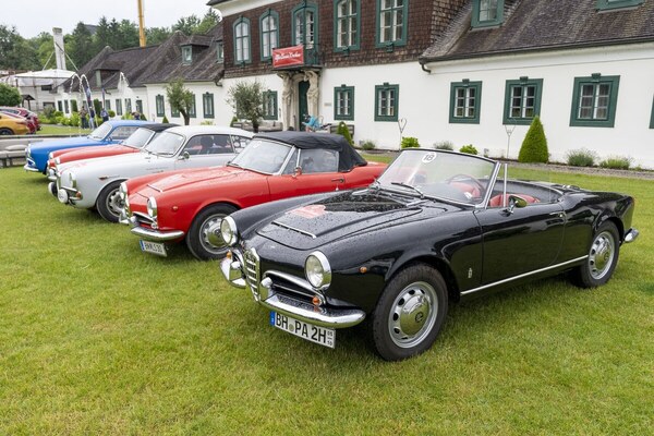 Alfa Romeo Giulia Spider - Alfa Classic Wachau 2024
