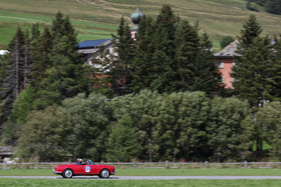 Alfa Romeo Giulia Spider Veloce (1964) - am ersten Tag - Passione Engadina 2017 (1964)