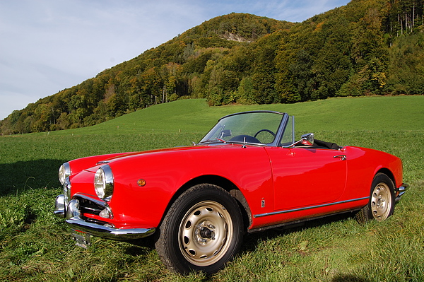 Alfa Romeo Giulia Spider Veloce (1965) - angeboten als Lot 47 an der Versteigerung der Oldtimer Galerie Toffen vom 1. Dezember 2012