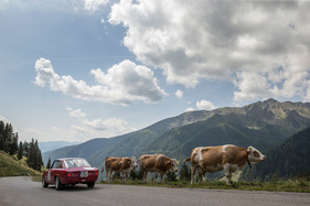 Alfa Romeo Giulia Sprint GTV (1967) - mit Startnummer 158 an der Ennstal-Classic 2017