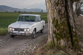 Alfa Romeo Giulia Super 1600 (1966) - mit vier Scheinwerfern Alfa Romeo Giulia Super 1600 (1966) - mit vier Scheinwerfern