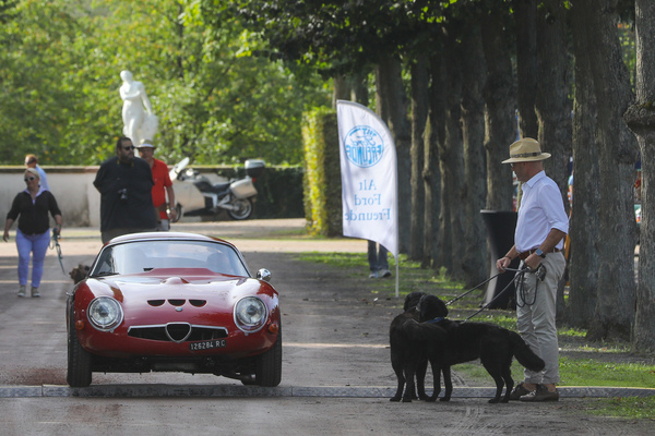 Alfa Romeo Giulia TZ (1964) - bei der Anfahrt - 19. ASC Classic-Gala Schwetzingen 2023