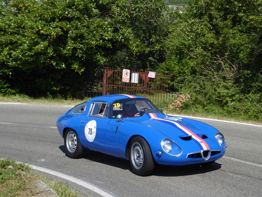 Alfa Romeo Giulia TZ1 (1964) - Vernasca Silver Flag 2018
