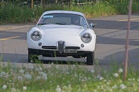 Alfa Romeo Giulietta S. Zagato (1962) at the GP Mutschellen 2026 - starting number 215