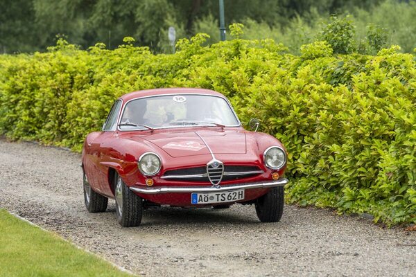 Alfa Romeo Giulietta SS - Alfa Classic Wachau 2024