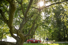 Alfa Romeo Giulietta SZ (1961) - 33. Ennstal-Classic 2025