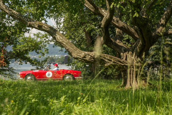 Alfa Romeo Giulietta Spider (1958) - 32. Ennstal-Classic 2024