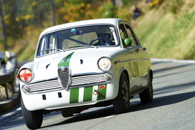 Alfa Romeo Giulietta Ti (1961) - am Roßfeldrennen 2013 (1961)