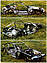 Alfa Romeo Junior Z (1969) - das Karosseriegerippe (© Archiv Automobil Revue) Alfa Romeo Junior Z (1969) - das Karosseriegerippe (© Archiv Automobil Revue)