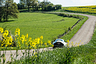 Alfa Romeo TZ (1963) an der Tour Auto Optic 2ooo vom 7. - 12. April 2014 (Startnummer 204)