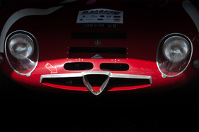 Alfa Romeo TZ 2 (1965 ) - FIA Masters Historic Sports Car Championship - AvD OGP 2017