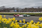 Alfa Romeo Tipo 33/TT3 (1971) - 3-Litre Sports Prototypes - Goodwood Members' Meeting 2017