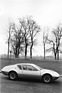 Alpine A-310 (1971) - das fertige Ergebnis darf sich zeigen lassen