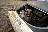 Als der Lancia Stratos von Munari zur Hundehütte wurde (© McKlein - Courtesy Eifel Rallye Festival, 1990) Als der Lancia Stratos von Munari zur Hundehütte wurde (© McKlein - Courtesy Eifel Rallye Festival, 1990)