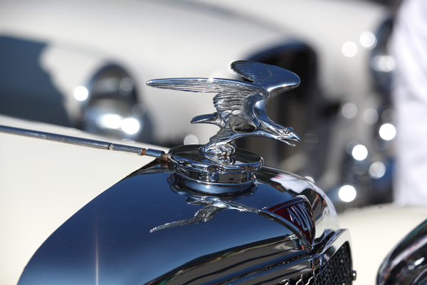 Alvis-Kühlerfigur - British Car Meeting BCM in Mollis 2019