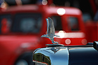 Bild: Alvis TC21/10 (1954) - Kühlerfigur der "Grey Lady" - Dolder Classics September 2020