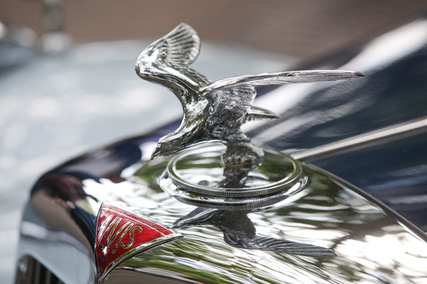 Alvis TC21/100 Drop Head Coupé (1954) - Eindrucksvolle Kühlerfigur beim Zürich Classic Car Award 2021