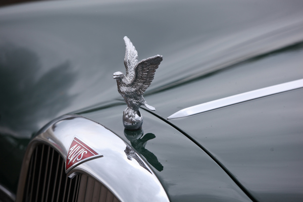 Alvis TE 21 (1964) - Kühlerfigur - OSMT Zug am 5. Mai 2019