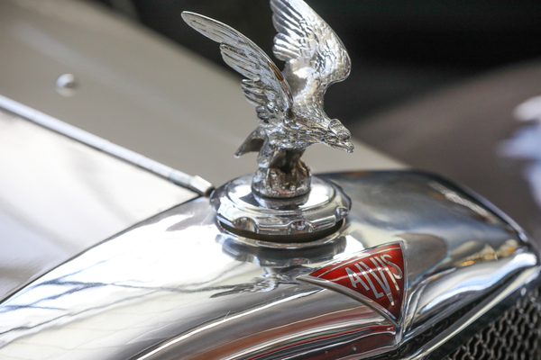Angriffiger Vogel auf dem Kühlergrill des eleganten Alvis - Versteigerung der Oldtimer Galerie Toffen am 14. Oktober 2023