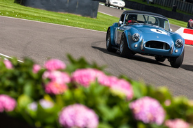 Arie Luyendyk und John Goodman auf AC Cobra (1964) - Royal Automobile Club TT Celebration (RAC TT) - Goodwood Revival 2015