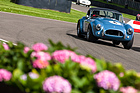Arie Luyendyk und John Goodman auf AC Cobra (1964) - Royal Automobile Club TT Celebration (RAC TT) - Goodwood Revival 2015