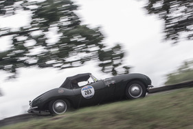 Arnolt Bristol Deluxe (1954) - an der Mille Miglia 2016