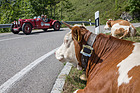 Aston Martin 2 Litre Speed Ulster (1937) - an der Saalbach Classic 2015