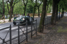 Aston Martin DB 3 S (1955) - an der Mille Miglia 2016