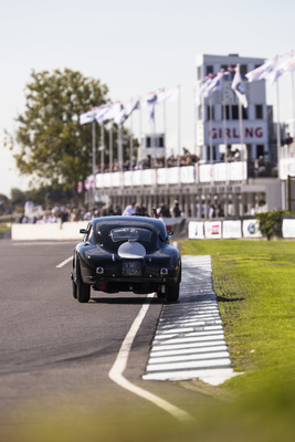 Aston Martin DB2 (1952) - im Rennen um die Fordwater Trophy - Goodwood Revival 2018