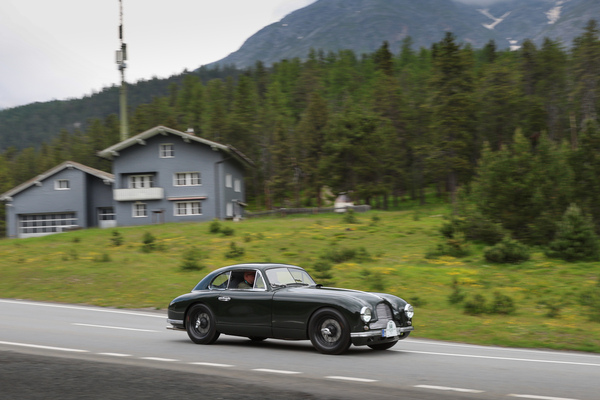Aston Martin DB2 Vantage (1953) - 30. BCCM St. Moritz “Safari Edition” 2024