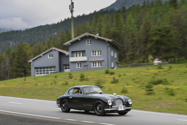 Aston Martin DB2 Vantage (1953) - 30. BCCM St. Moritz “Safari Edition” 2024