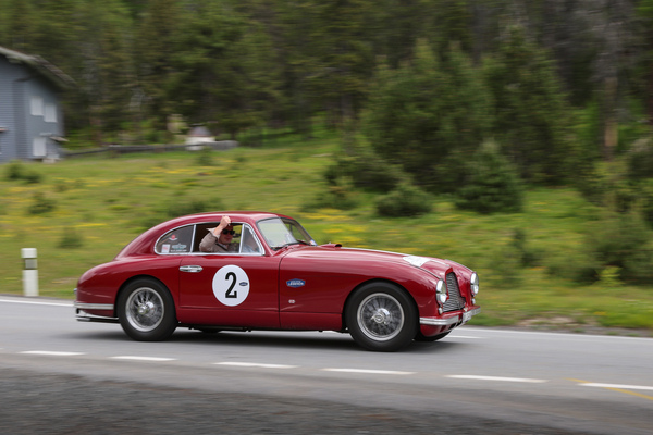 Aston Martin DB2 Vantage (1954) - 30. BCCM St. Moritz “Safari Edition” 2024