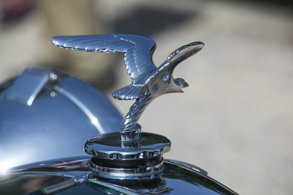 Auch der Vogel von Alvis sucht das Wasser - Concours d'Elégance Suisse Coppet 2022