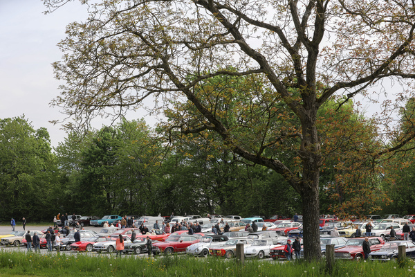 Bild: Auch der untere Parkplatz füllt sich schnell - Albisgütli Classics Cars & Bikes April 2025