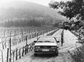 Audi Quattro (1980) - was macht der Quattro im Weinberg?