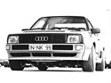 Audi Quattro Sport (1983) - eines von vier Baur-Vorserienfahrzeugen - wurde auch für den FIA-Wagenpass verwendet