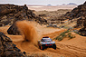 Audi RS Q e-Tron an der Rallye Dakar 2020 (© DPPI - Courtesy Rétromobile Paris, 2020) Audi RS Q e-Tron an der Rallye Dakar 2020 (© DPPI - Courtesy Rétromobile Paris, 2020)