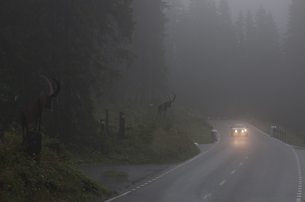 Audi Ur-Quattro 10V (1981) - am Bergrennen Arosa ClassicCar 2012