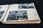Bild: Aus dem Notizbuch von Walter Otto Wyss