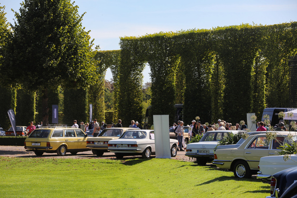 Aushängeschilder der Mercedes-Benz-Clubs - 21. Classic-Gala Schwetzingen 2025