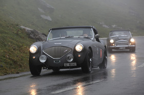 Ausitn-Healey 100-4 (1955) - am Klausenrennen Prolog 2012