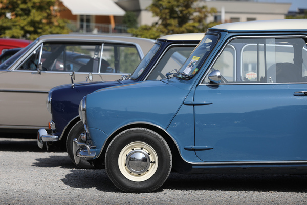 Austin Cooper S (1962) – Albisgütli Classic Cars & Bikes Oktober 2023