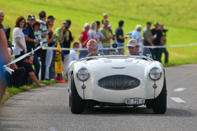 Austin-Healey 100/4 (1955) - am Gempen Memorial 2014