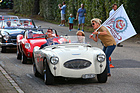 Austin-Healey 100/4 (1955) - am Gempen Memorial 2014