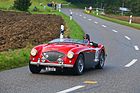 Austin-Healey 100-4 BN 2 M (1956) - am Gempen Memorial 2014