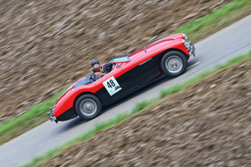 Austin-Healey 100-4 BN 2 M (1956) - am Gempen Memorial 2014