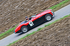 Austin-Healey 100-4 BN 2 M (1956) - am Gempen Memorial 2014