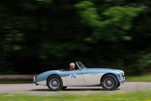 Austin-Healey 100/4 BN1 (1953) - Startfeld "FaBaM - Freunde alten Blechs und aller Marken" - Oldtimer GP Brugger Schachen 2024