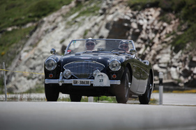 Austin-Healey 100/4 BN1 (1954) - Stelvio Rally - British Classic Car Meeting 2019 (1954)